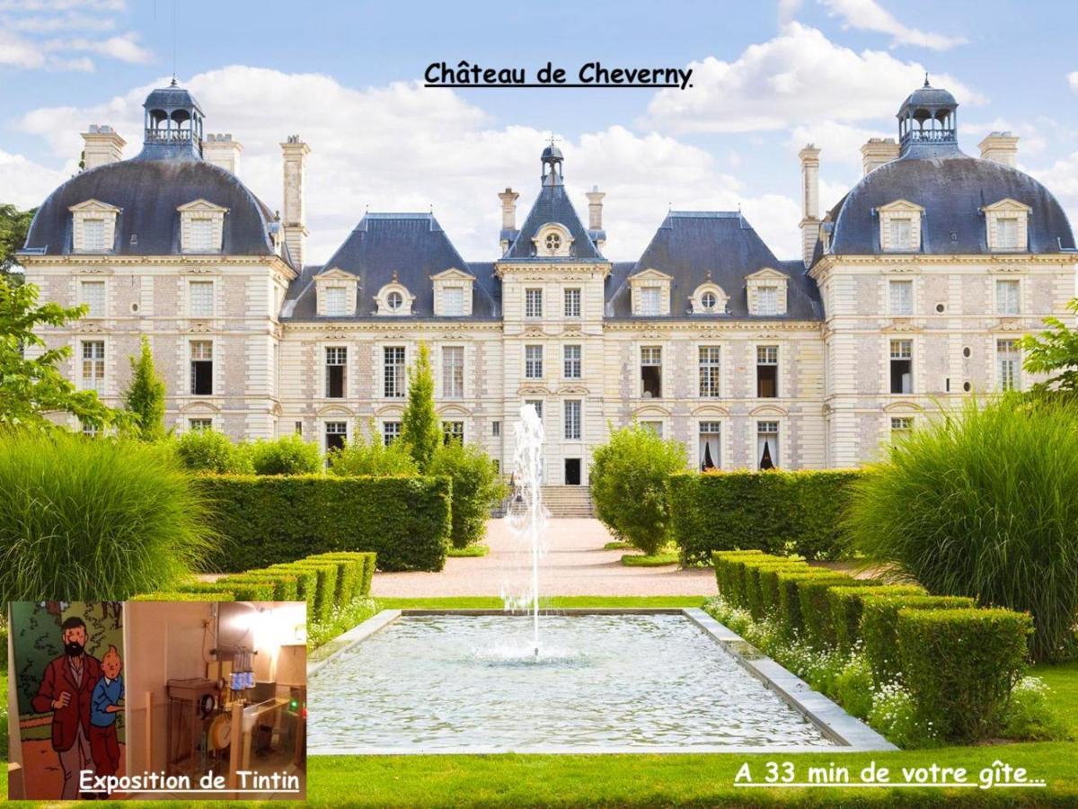 La Porte Aux Dames Romorantin-Lanthenay 외부 사진